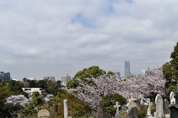 150402 gaikokuzin bochi DSC_0048.jpg